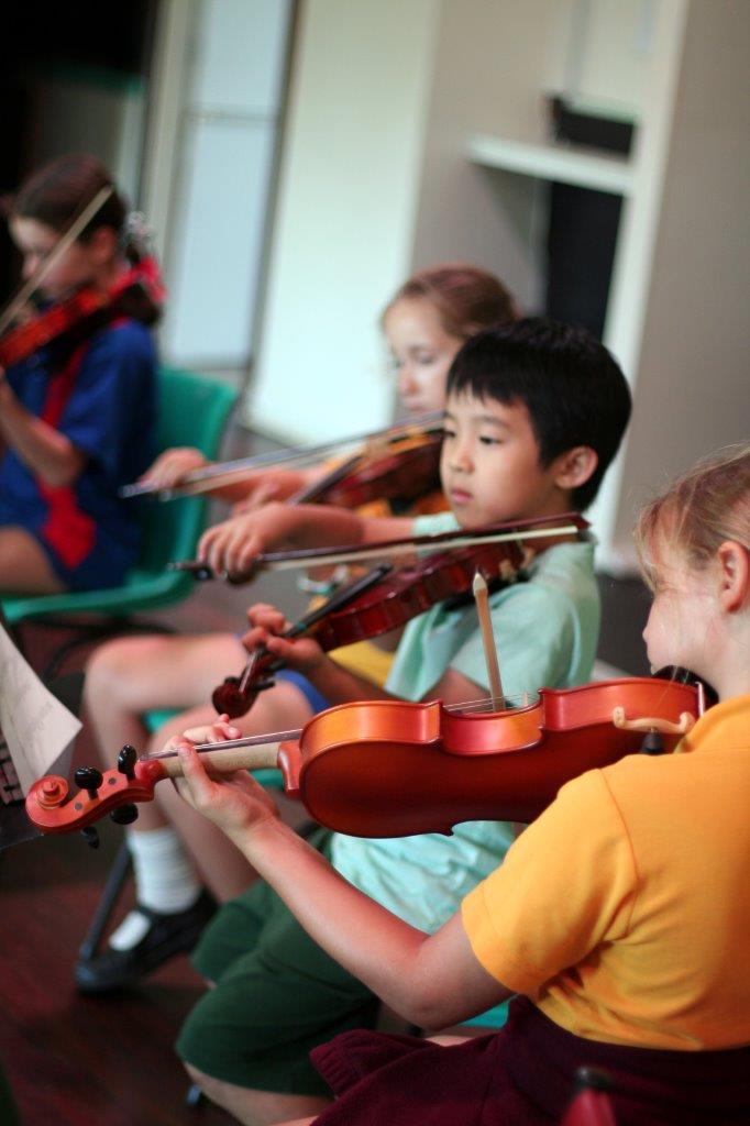 __Violins_0966
